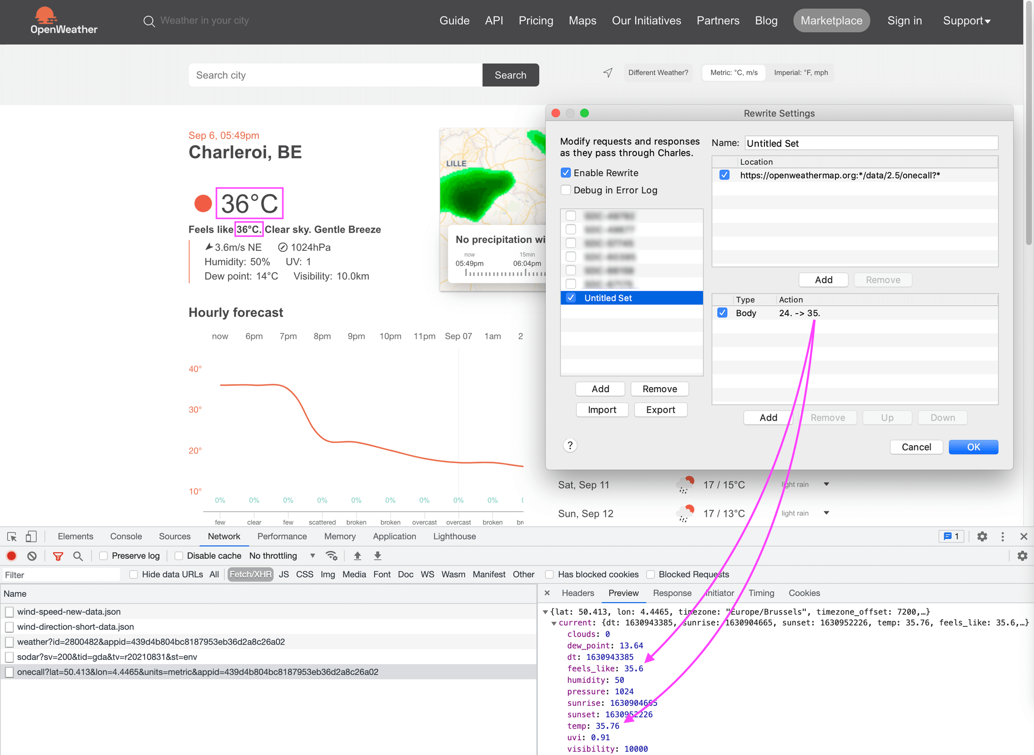 Dev Tools → Network → request Preview