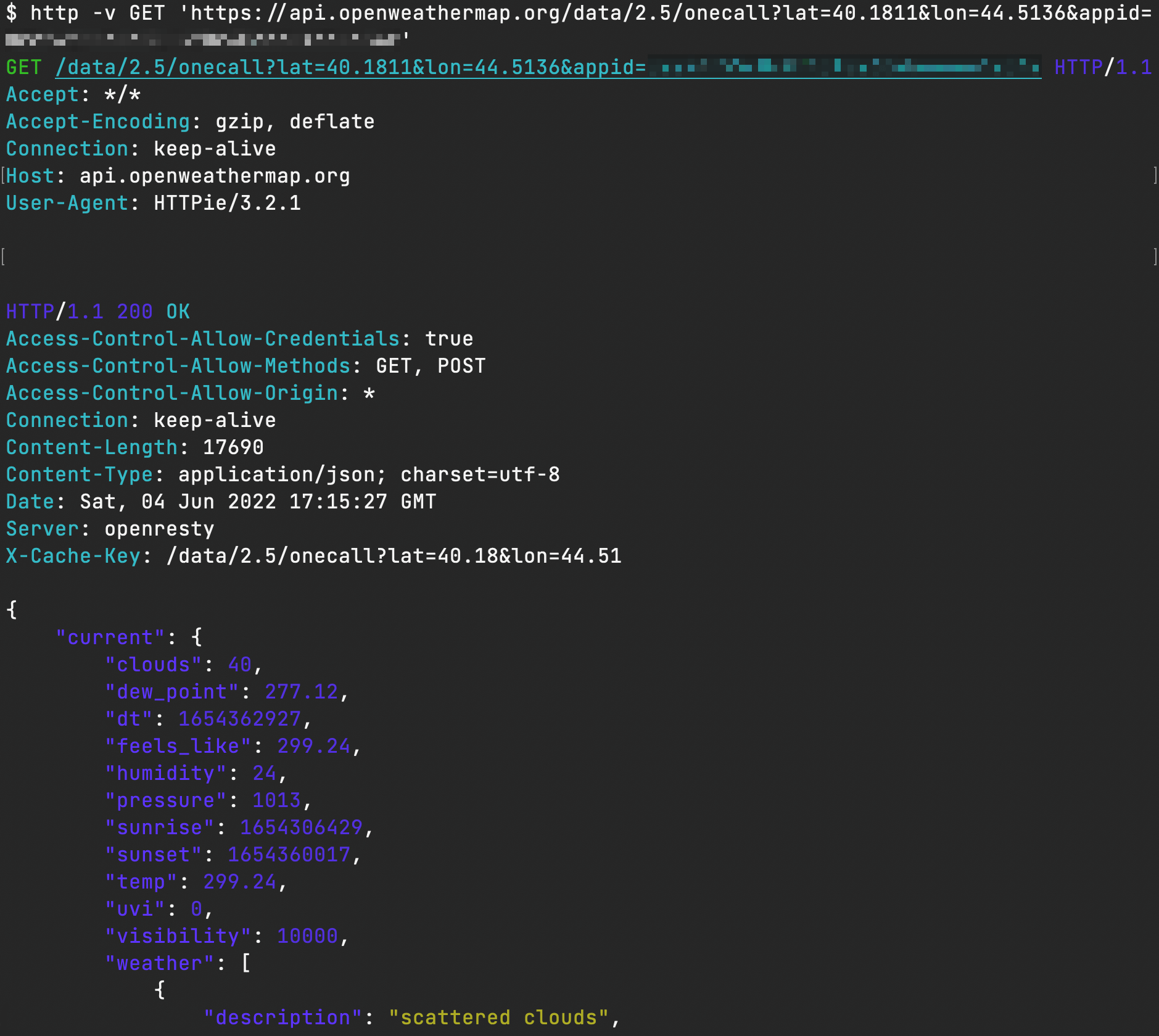 Httpie in Terminal with verbose output